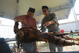 raya1.jpg