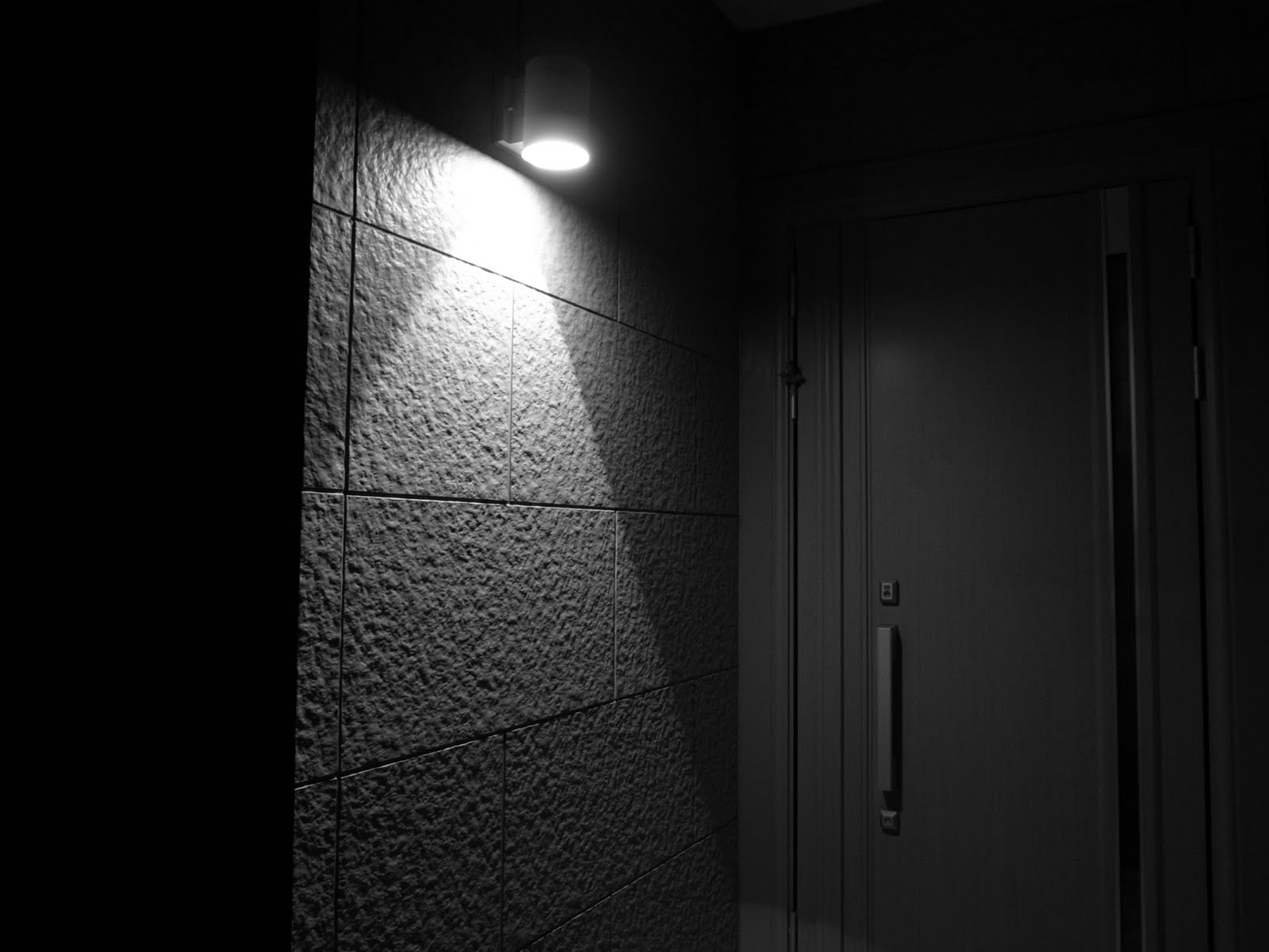 [Door+light.JPG]