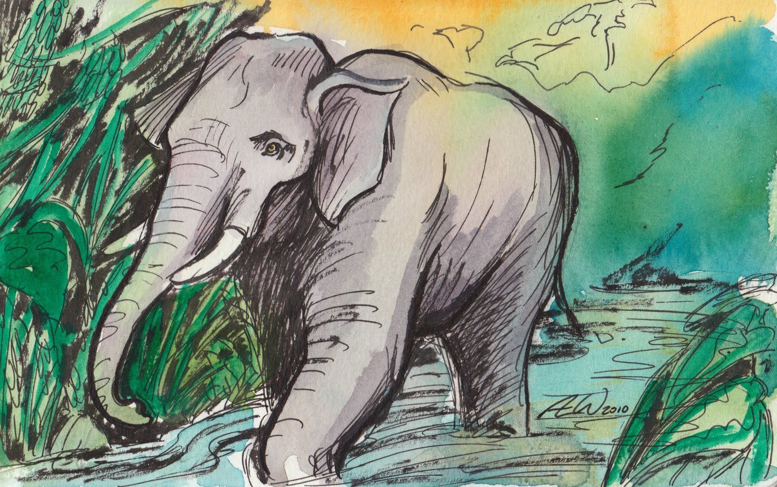 Wilsonic Illustration Life in the Jungle