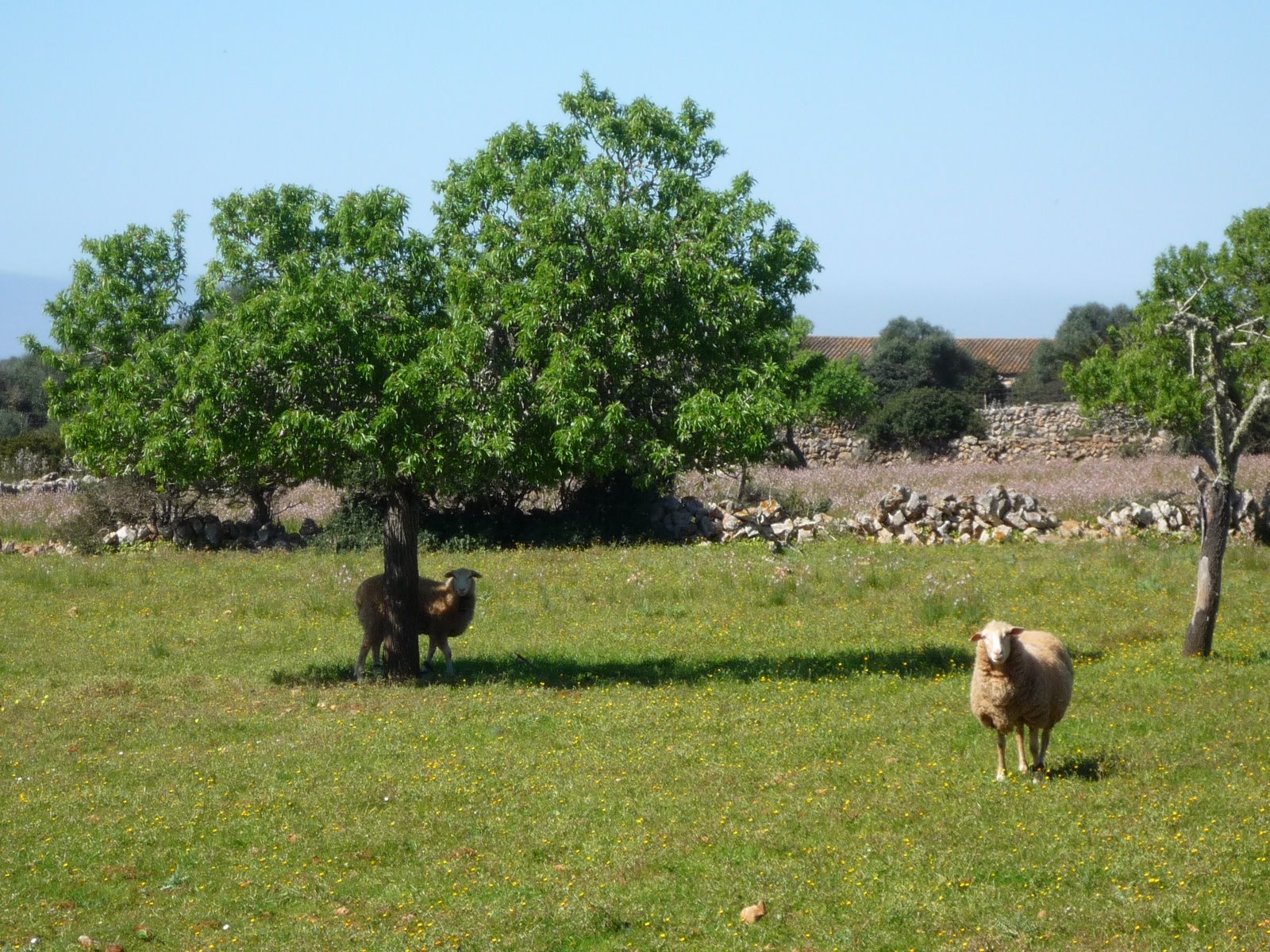 [P1000662.JPG]