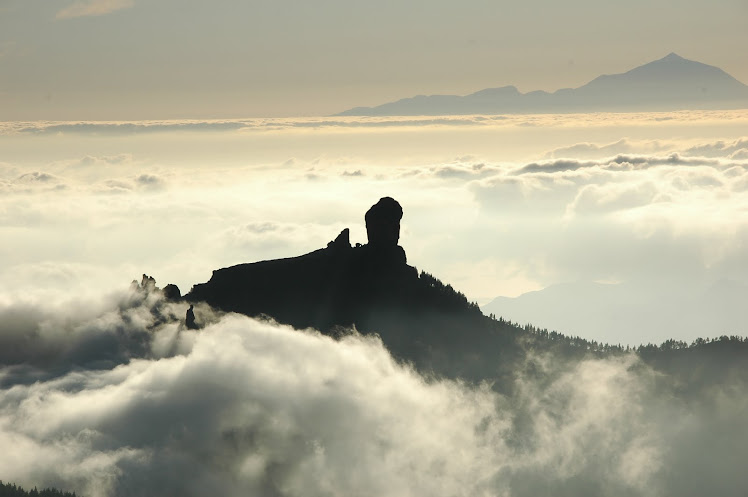 VIEJAS GLORIAS CANARIAS