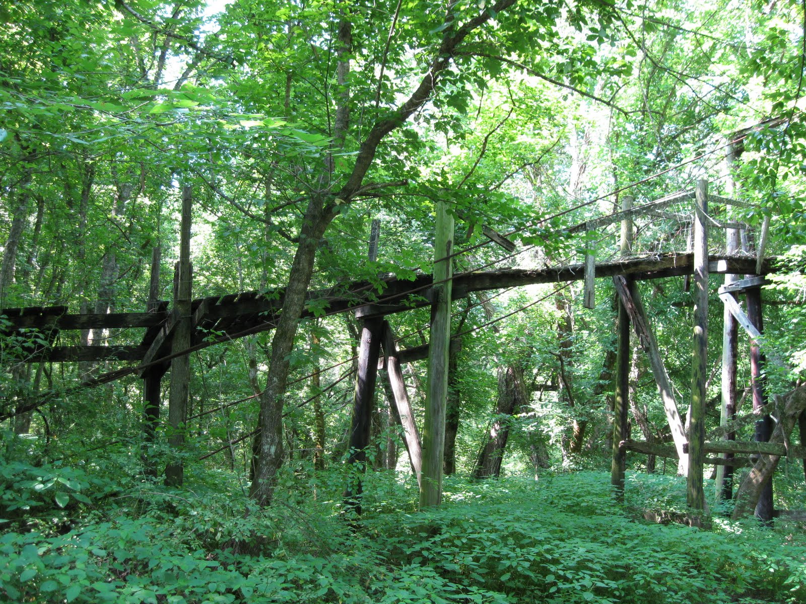 Journey Swinging Bridges