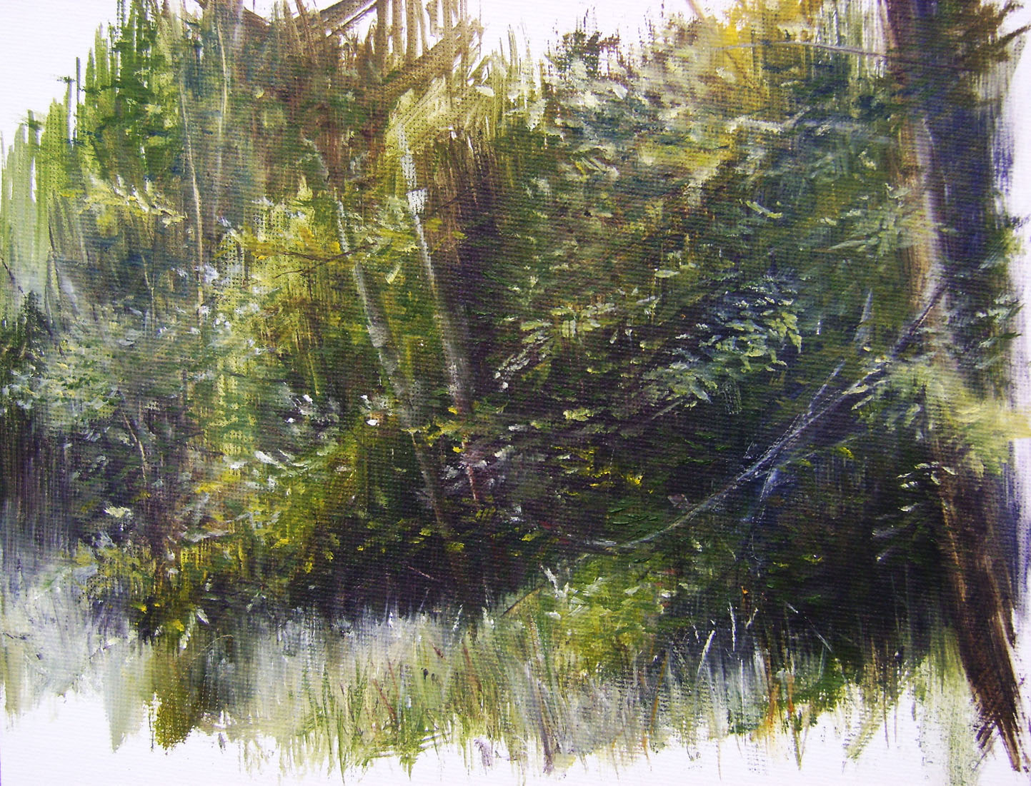[woods+study+5]