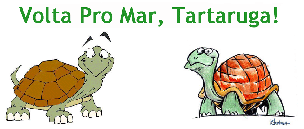 Volta Pro Mar, Tartaruga!