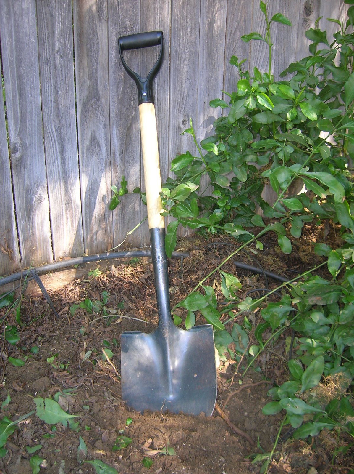 [third_post_shovel.JPG]