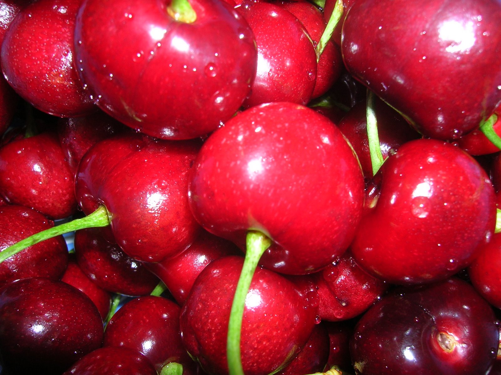 [springtime+cherries.JPG]