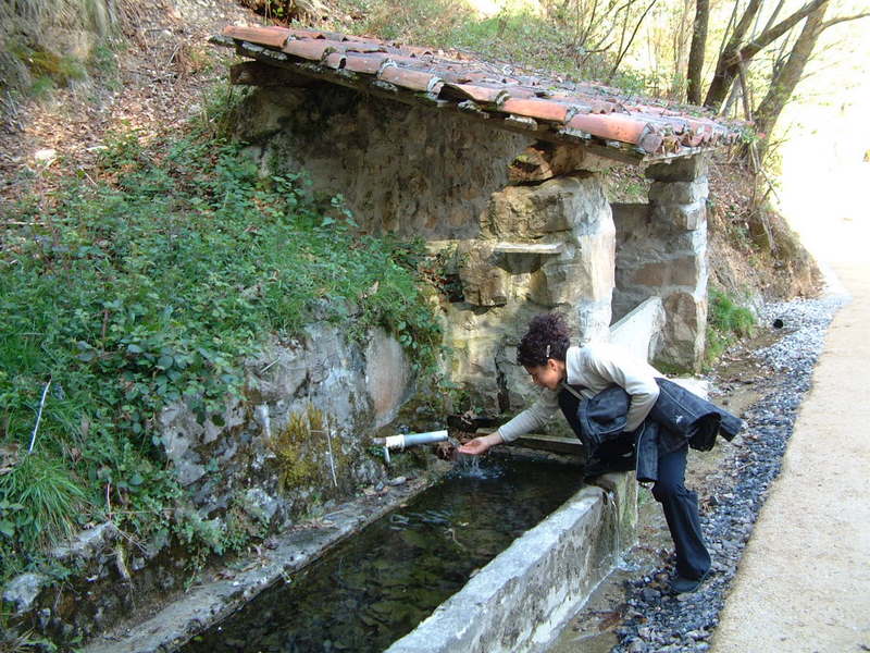 [DSCF0008.JPG]