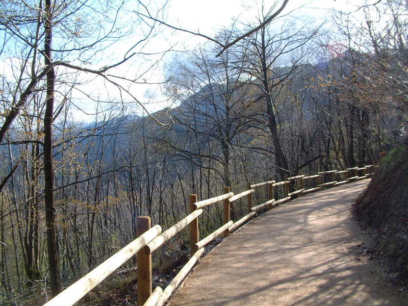 [DSCF0010.JPG]
