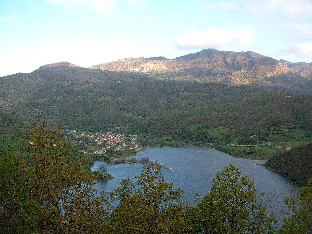 [DSCF0110.JPG]