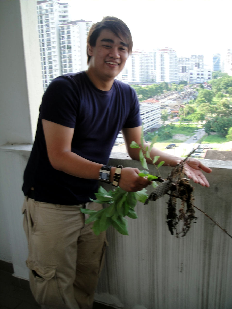 [DSC01320.JPG]