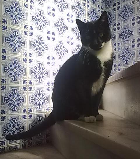 [13022010_017-765297.JPG]