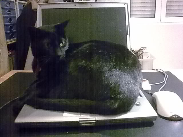 [17032010_030-764890.jpg]