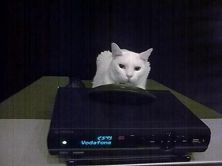 [2009-12-12-PS-732656.JPG]