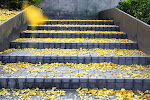 The YeLLoW StaiRs
