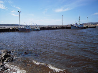 Bay of Fundy Blog: I love high tide - low tide