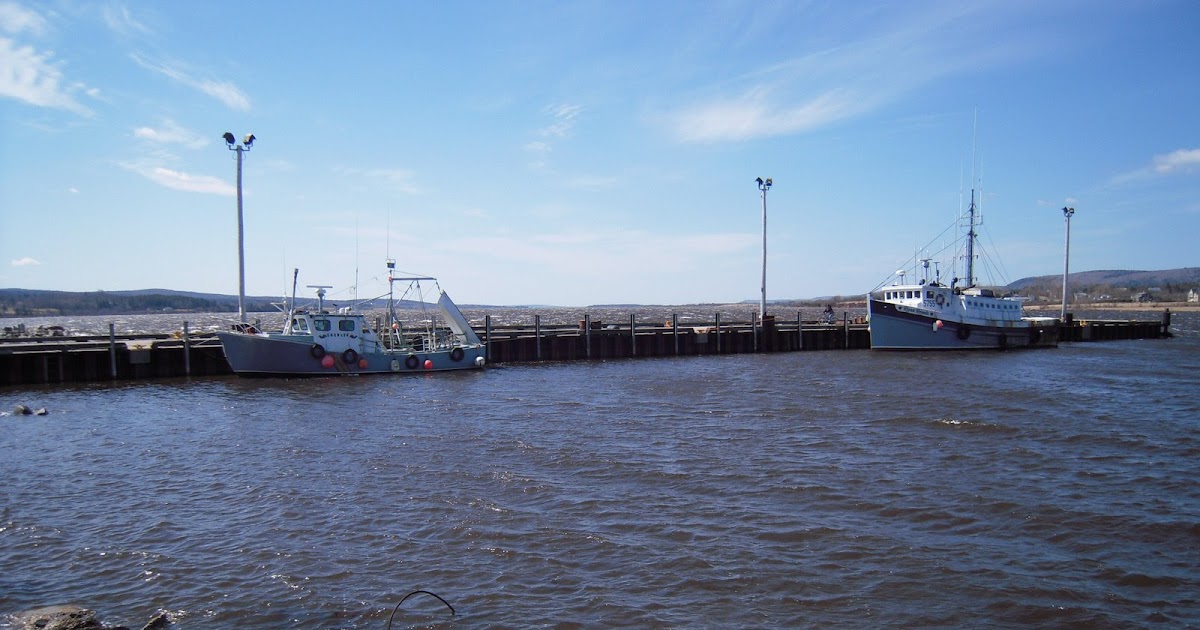High Tide South Freeport Maine