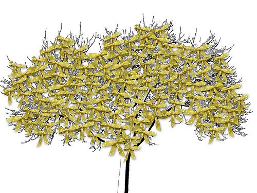 [haybuocdariuybanglencáyoigia.jpg]