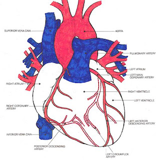 Right ventricular infarction – Part I | EMS 12 Lead