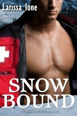 SNOW BOUND by Larissa Ione