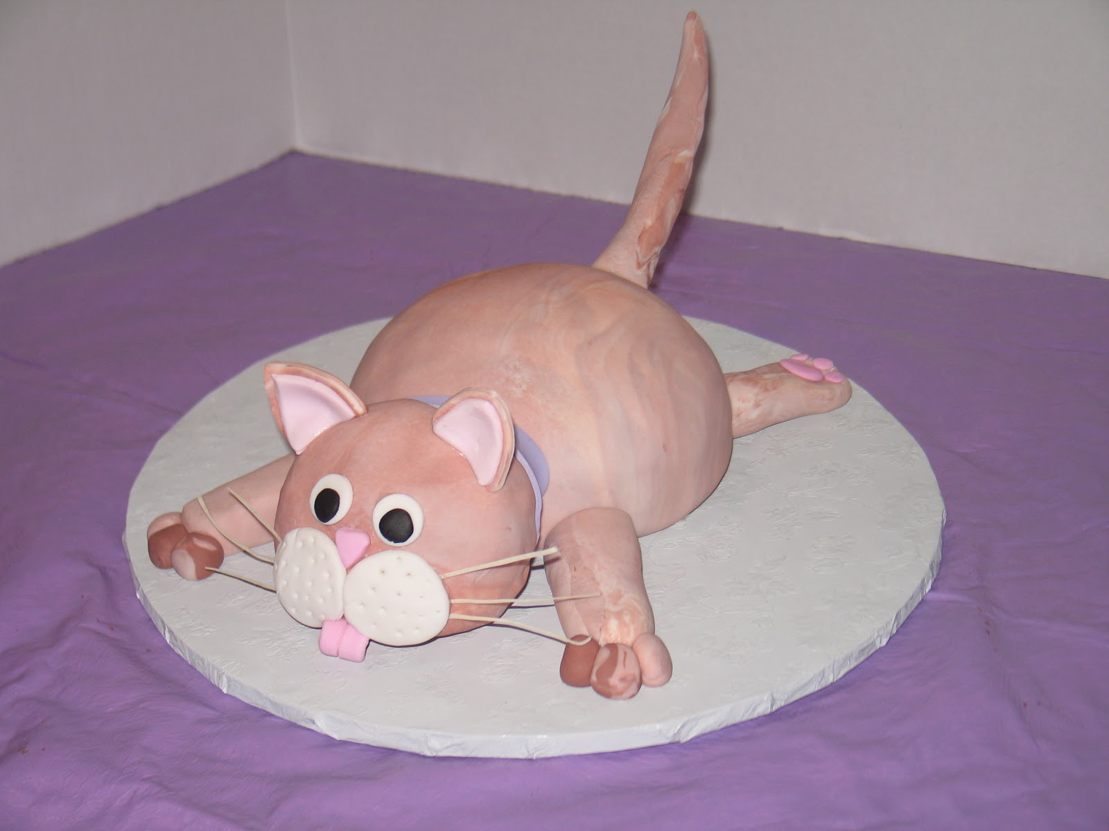 2010+cat+cake.JPG