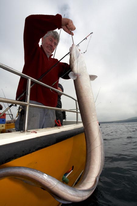 Des Connel with a very serious conger 2008