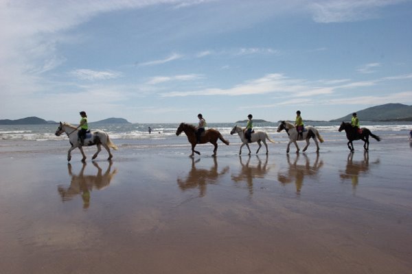 Great horse-riding in Reenroe beach