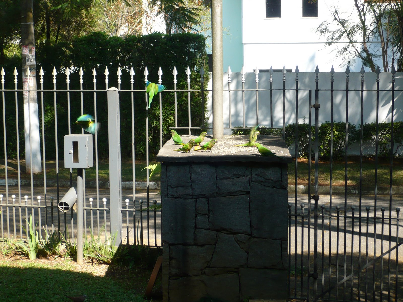 [P1000335.JPG]