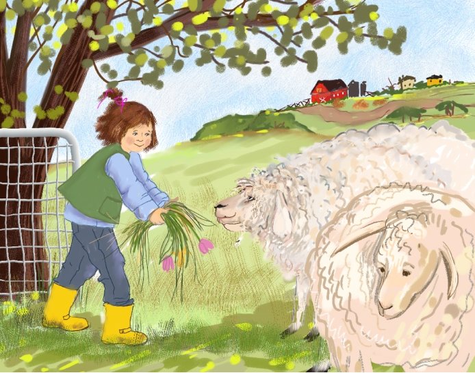 [sheep2.jpg]