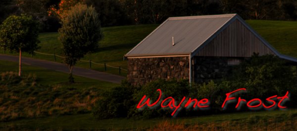 Waynes World