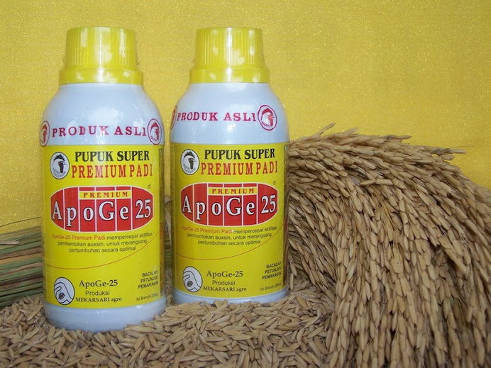 ApoGe-25 Premium Padi