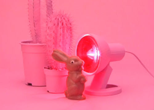 Video : ‎Chocolate Bunny