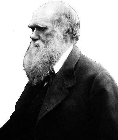 [hafsahl+darwin.jpg]