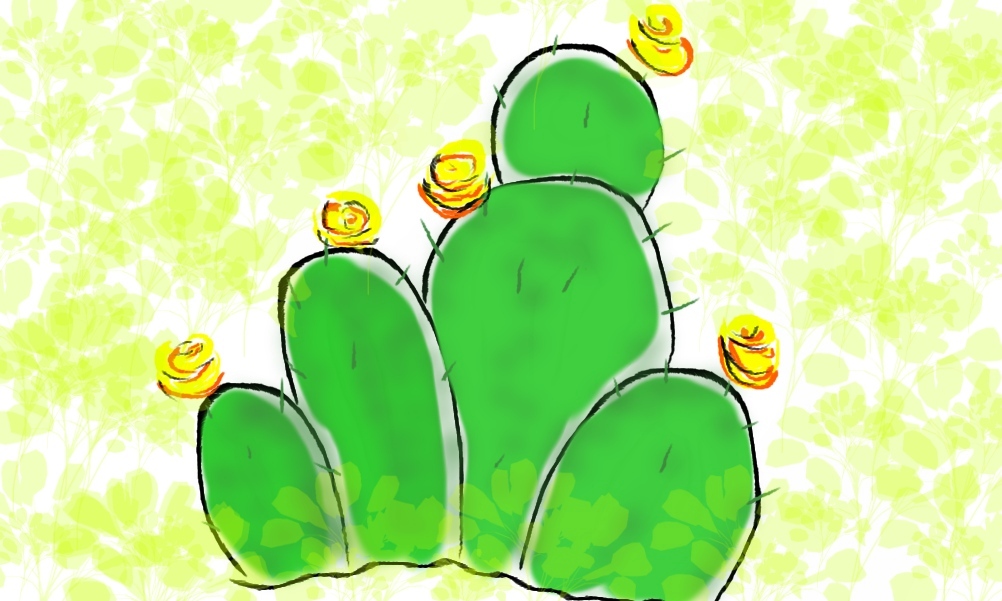 [Cactus+green.jpg]