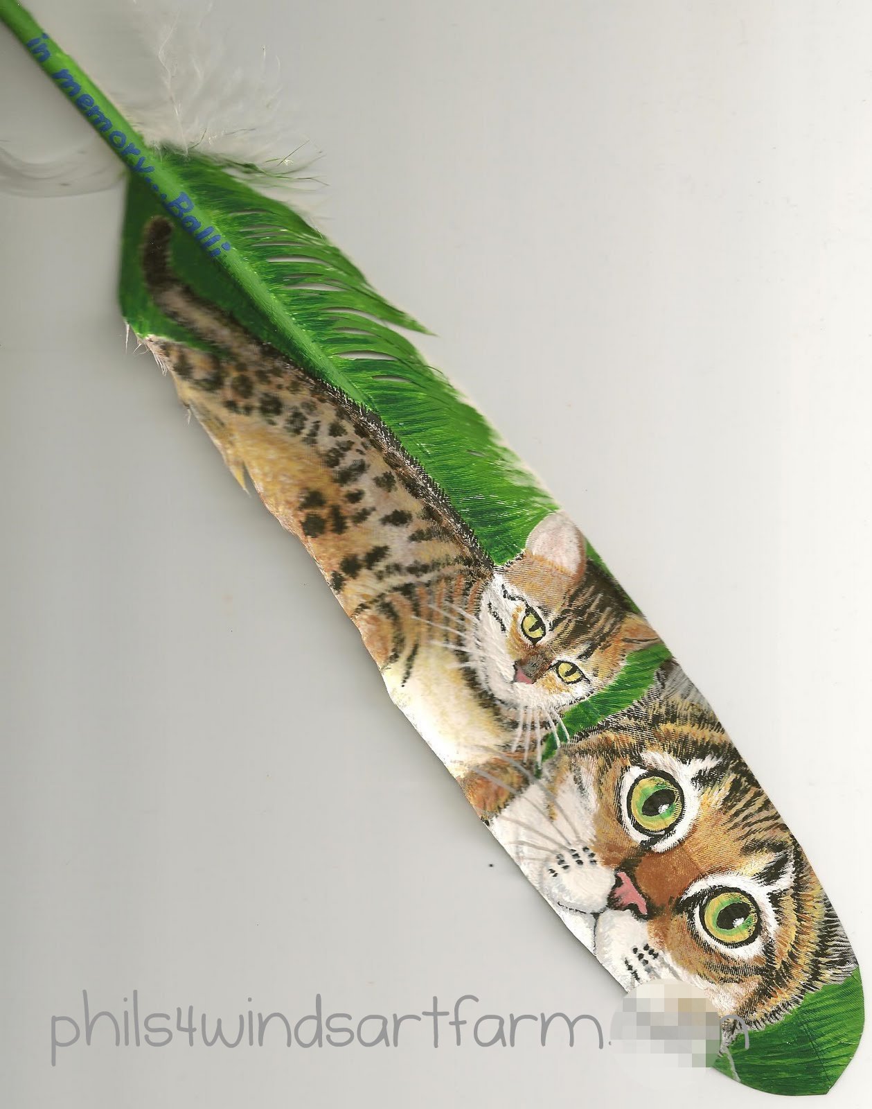 Bengal cats Savannah cats