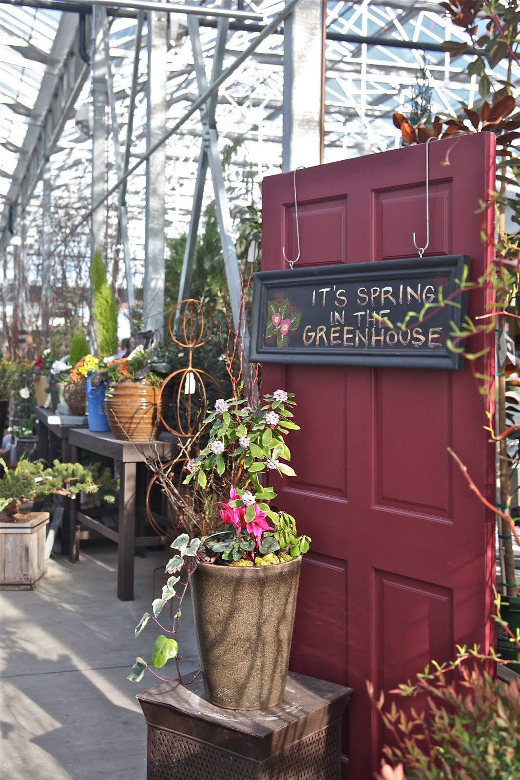 Shoreline Area News Sky Nursery Celebrates New Store Grand Opening