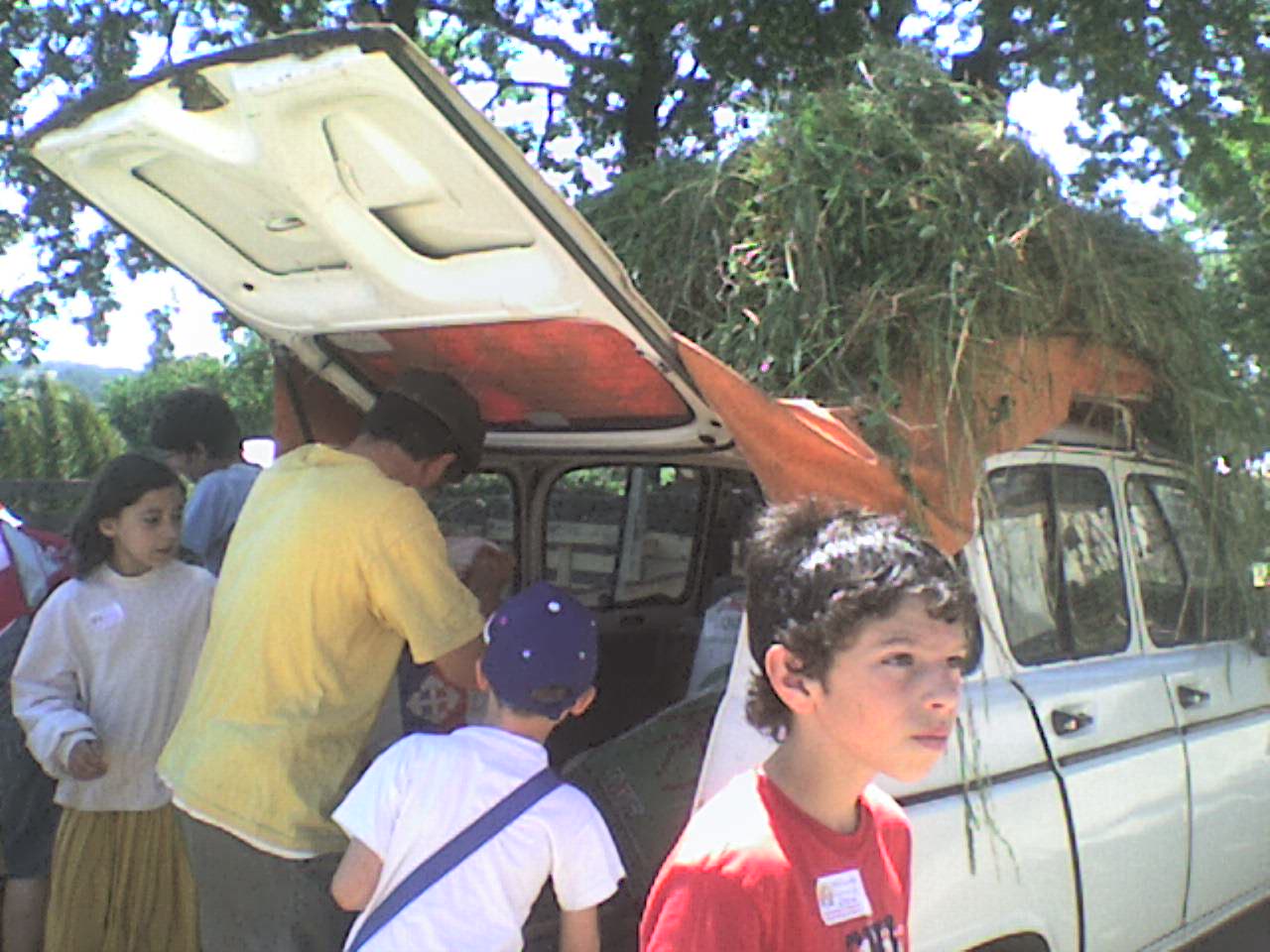 [Encerramento+Feira+Medieval+(21).JPG]