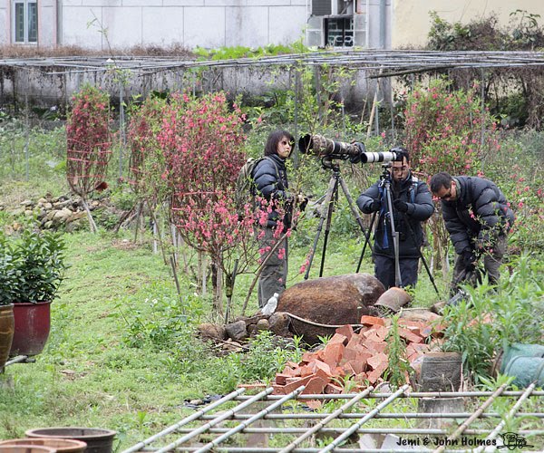 [Gardens_7046-01.jpg]