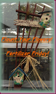 Tootsie's Flaunt your Flower/Fertiliser Friday