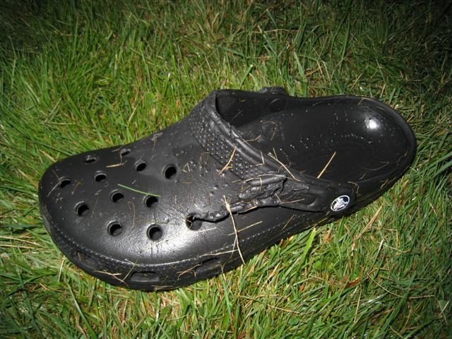 2010 Vacation Day 8 - Fox 1 Crocs 0 ~ Route Alto 80