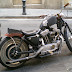 Harley from Barcellona