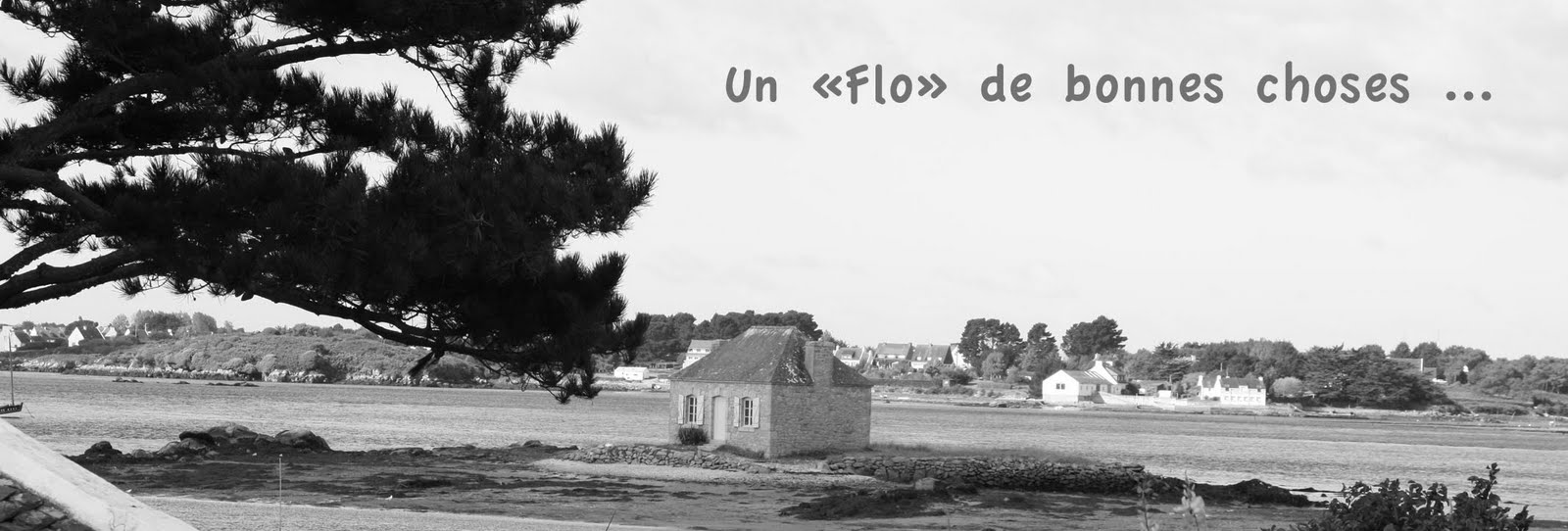 Un "flo" de bonnes choses ...