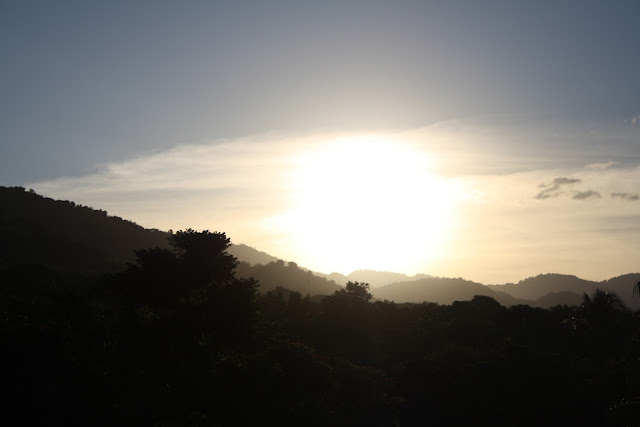 Photograph of a sunny hillside.
