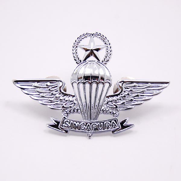 master freefall badge saf master freefall badge saf