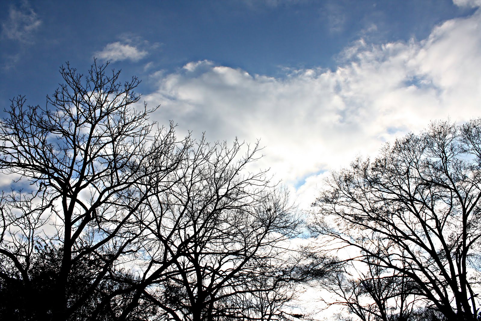[IMG_4490.jpg]
