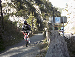 Senda del Oso (Asturias)