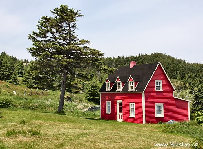 Houses For Sale In Tors Cove Nl at Gertrude Ross blog
