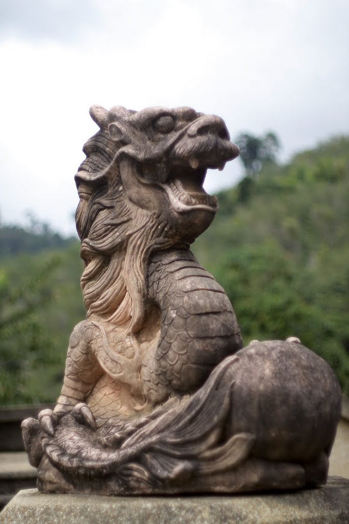 Boleh Bokeh: Betong: you animal!