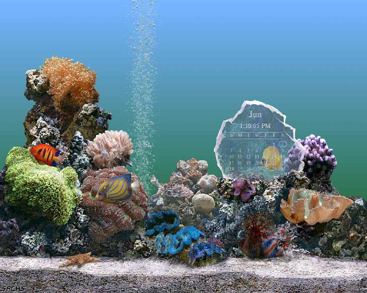 Marine aquarium. Скринсейвер аквариум. Живой аквариум. Экранная заставка аквариум. Морской аквариум.