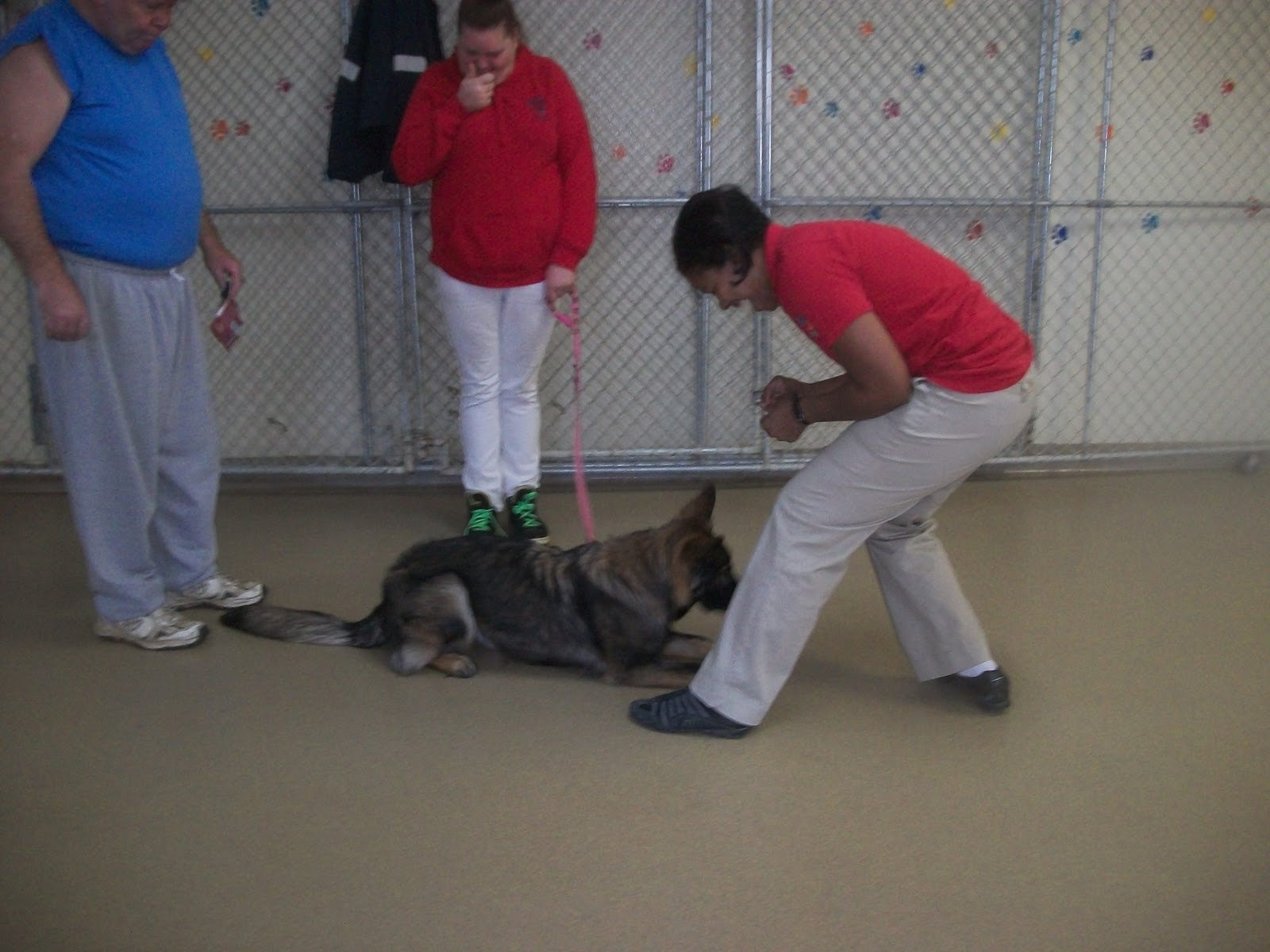 Best Friends Gaithersburg