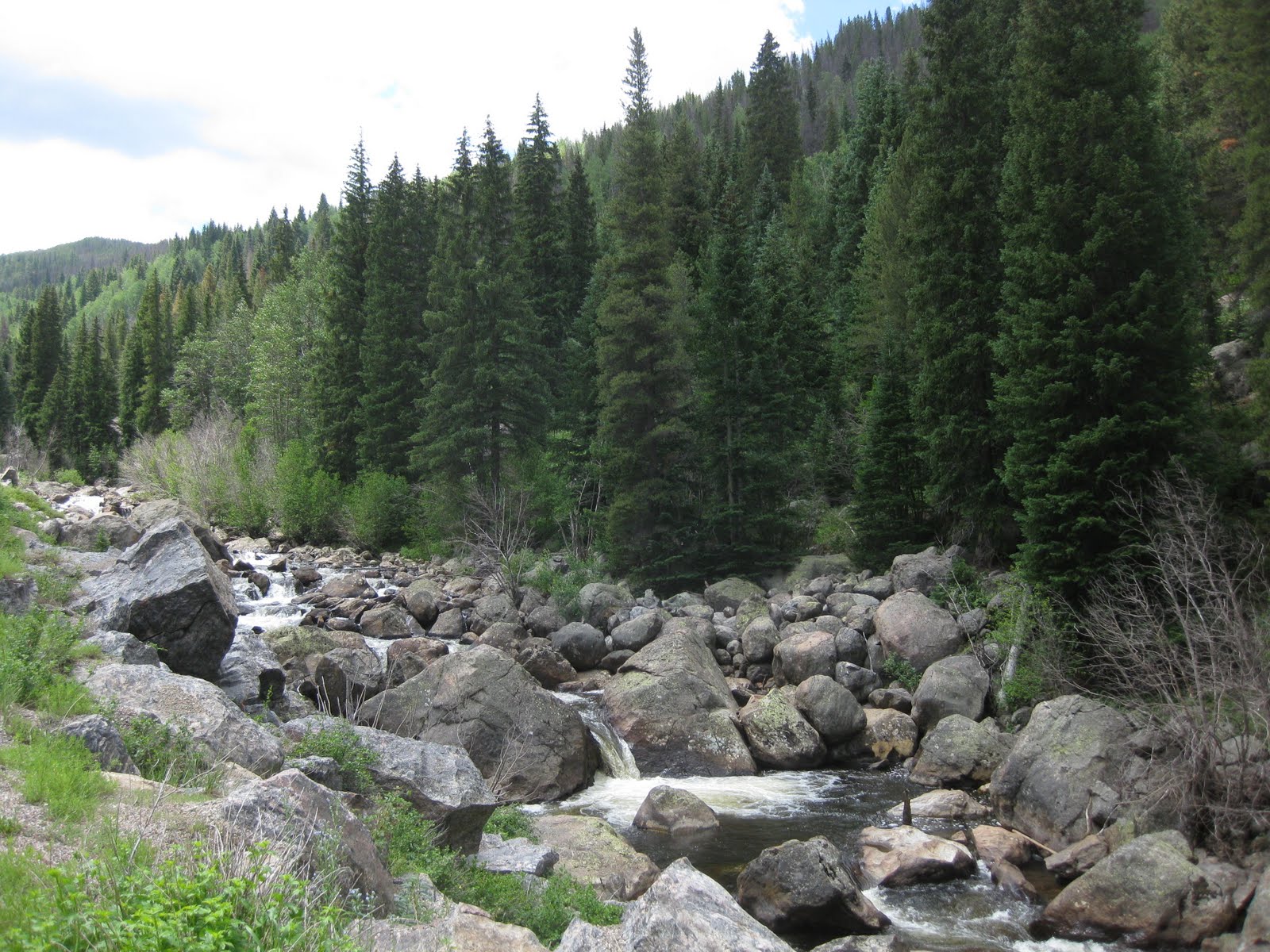 On The Pond Farm Detour By Red Cliff, Colorado
